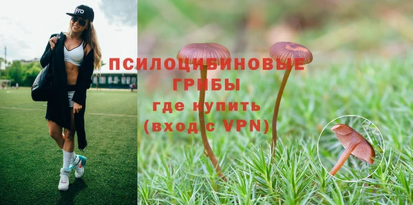 мдпв Майский