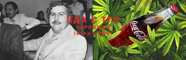 гидра Кострома