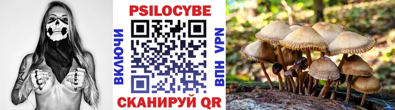 Псилоцибиновые грибы MAGIC MUSHROOMS  Рыльск 